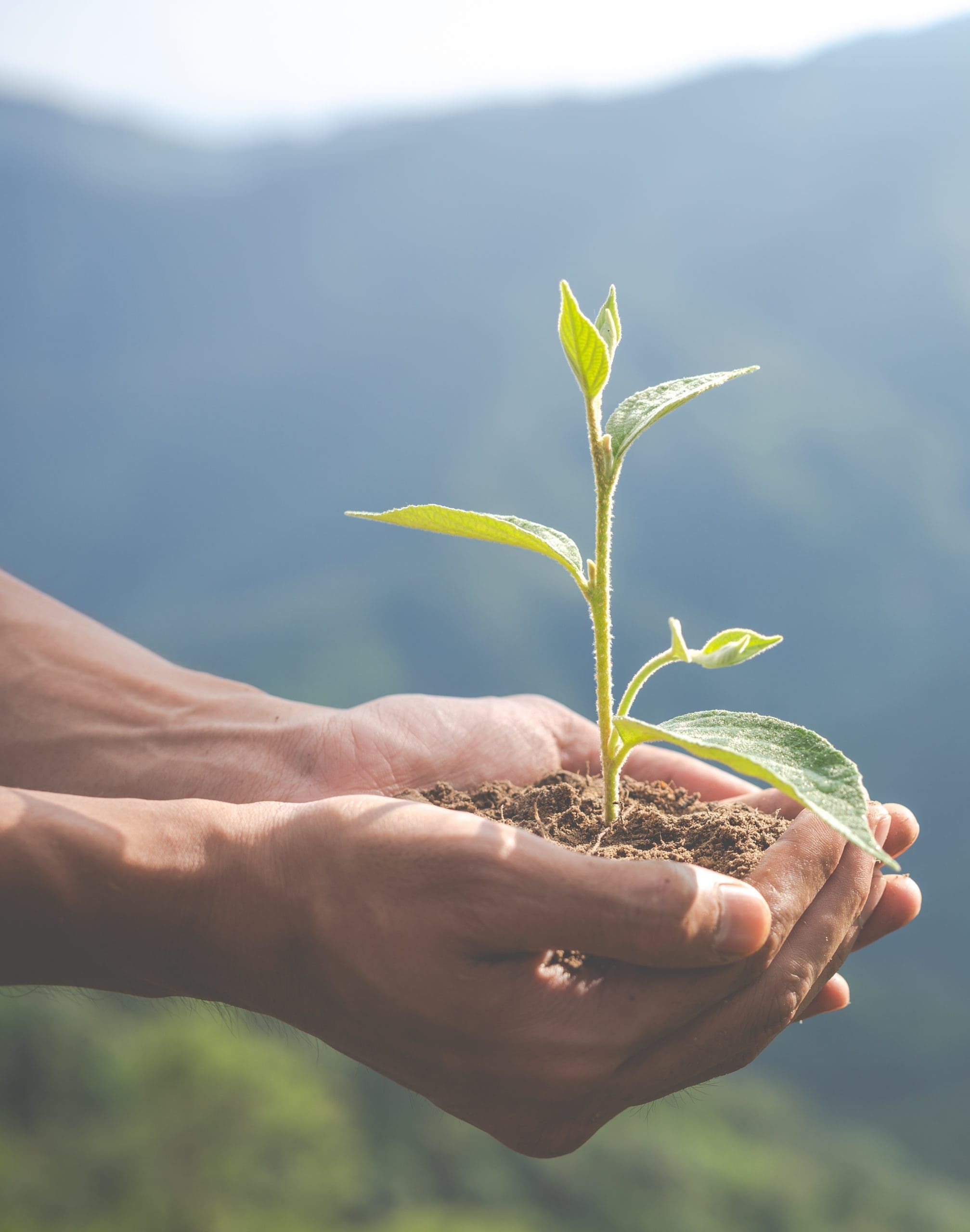 Concept of environmental conservation in the garden for children.